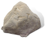 Sandstone